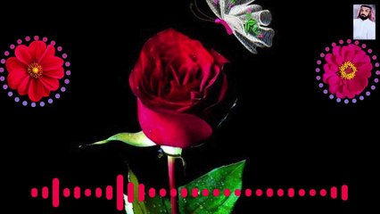 قران كريم بصوت جميل جدا جدا