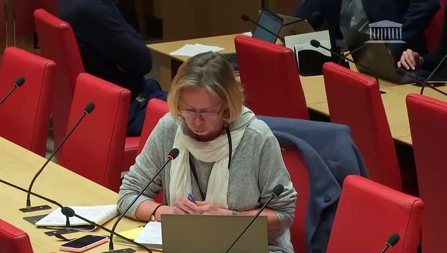 Modèle économique des crèches et qualité de l’accueil des jeunes enfants : Auditions diverses - Mercredi 31 janvier 2024