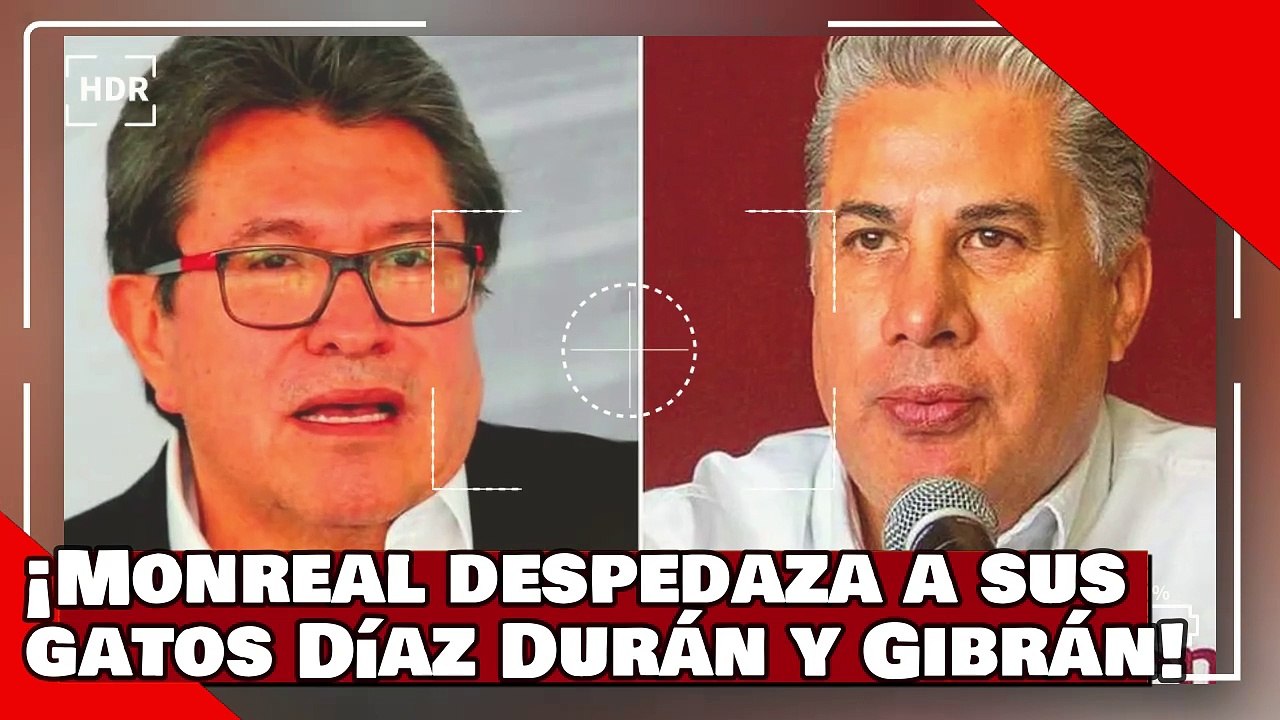 ¡VEAN! ¡Monreal despedaza a sus gatos Díaz Durán y Gibrán por largarse de morena y atacar a AMLO!