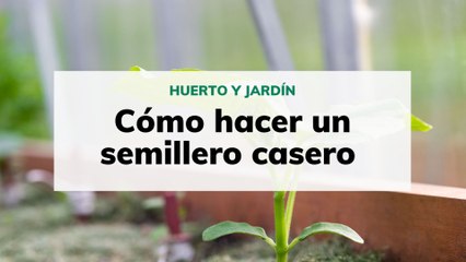 Cómo hacer un semillero casero