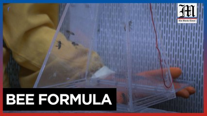 Colombian university patents formula to shield bees' brains from insecticide exposure
