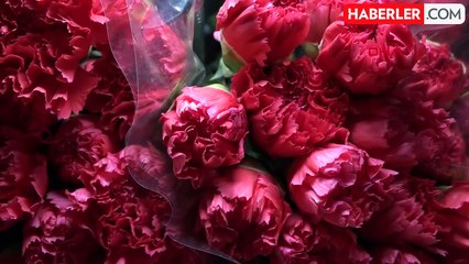 Antalya'dan Avrupa'ya 70 milyon dal karanfil ihracatı yapıldı