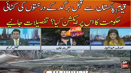 Qayam-e-Pakistan se qabal bargad ke darkhton ki katai