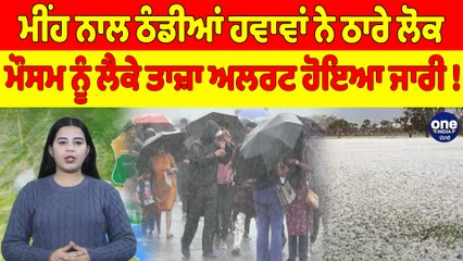 ਮੀਂਹ ਨਾਲ ਠੰਡੀਆਂ ਹਵਾਵਾਂ ਨੇ ਠਾਰੇ ਲੋਕ, ਮੌਸਮ ਨੂੰ ਲੈਕੇ ਤਾਜ਼ਾ ਅਲਰਟ ਹੋਇਆ ਜਾਰੀ! |OneIndia Punjabi
