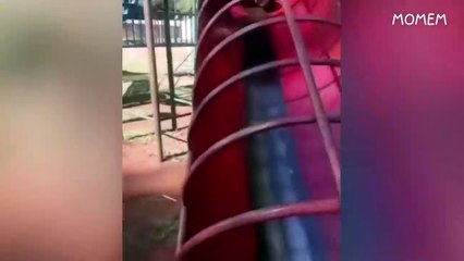 you laugh, you restart