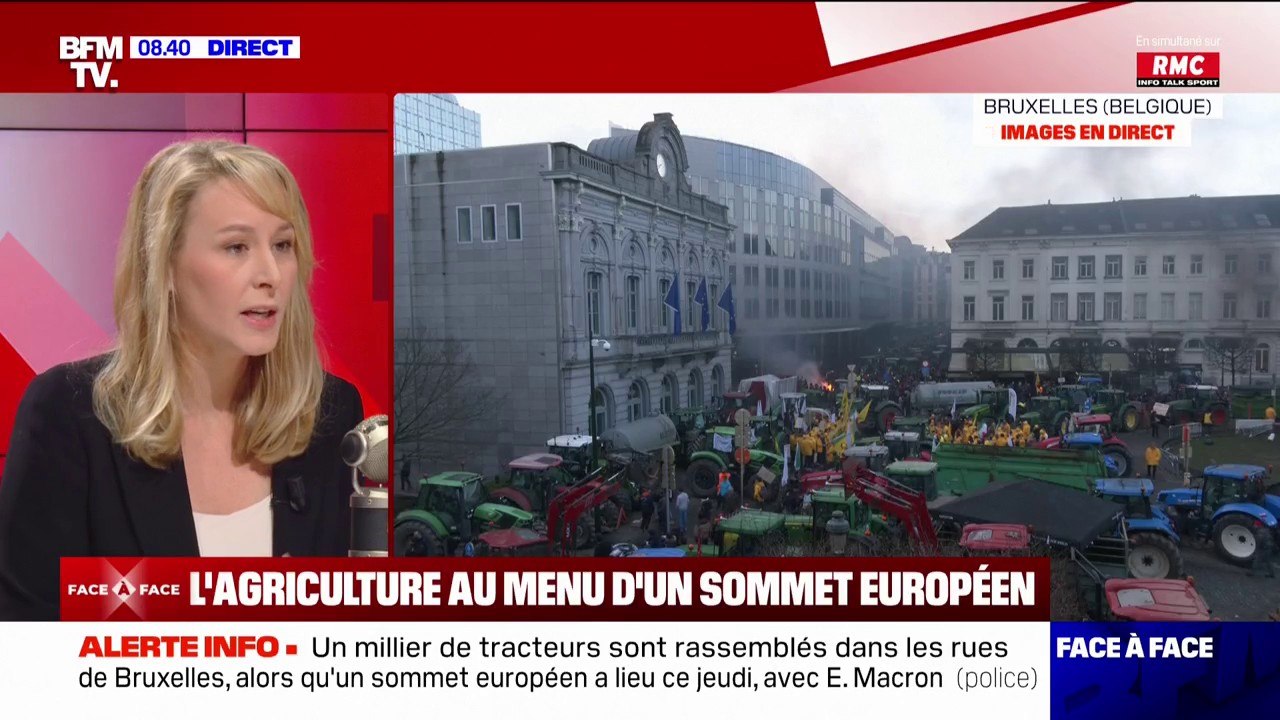 Importations de volaille: "Le gouvernement a noyé nos agriculteurs sous la concurrence déloyale de l'Ukraine" assure Marion Maréchal