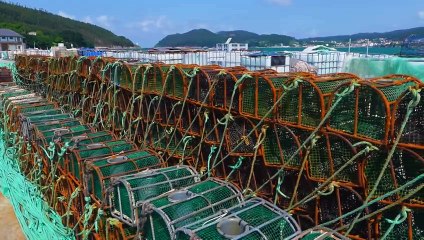 El 58% de las empresas gallegas prevé que su facturación aumente en 2024