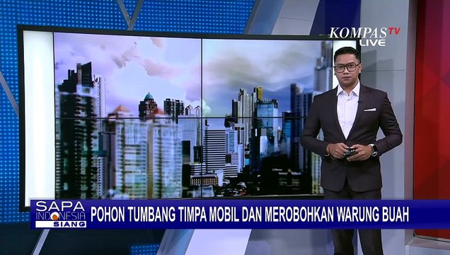Pohon Tumbang Akibat Hujan dan Angin Kencang Timpa Mobil danWarung Buah!