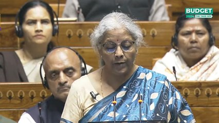 देश में कितना बढ़ा FDI निवेश? वित्त मंत्री ने बजट में बताया आंकड़ा