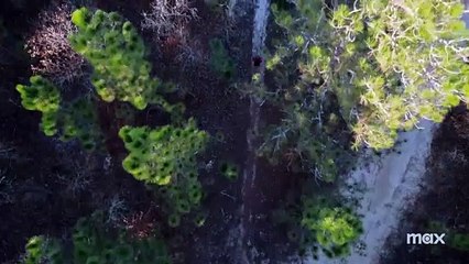 Casi inofensivo Tráiler VO