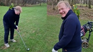 Golfer enjoys a different type of birdie when a parrot JOINS THE GAME