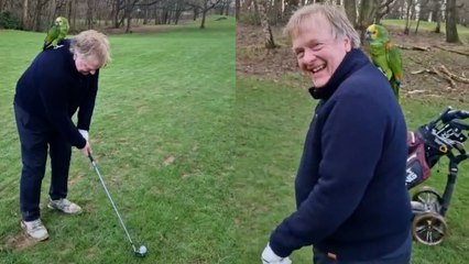 Golfer Gets a Surprise Birdie Partner: Parrot Joins the Game 🏌️‍♂️🦜
