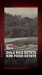 Dulu Rice Estate, Kini Food Estate: Transformasi Lahan Pertanian Indonesia 🌾
