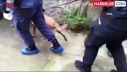 Evde uyuşturucu imalatı yapan şahıs yakalandı