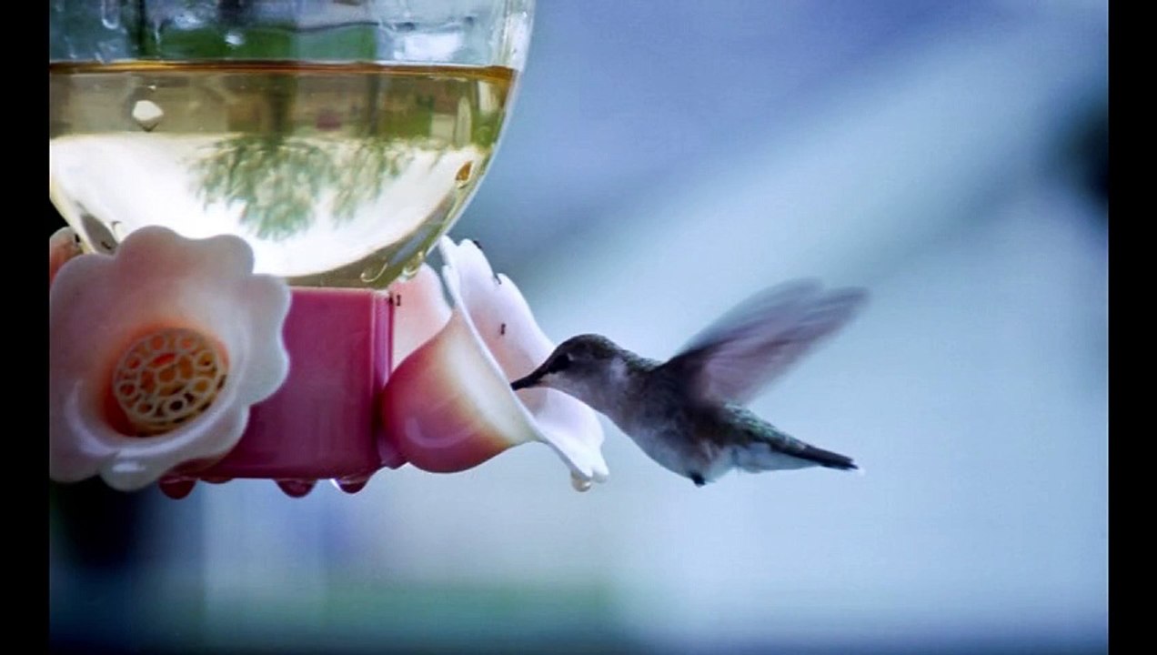 Geistliches für Donnerstag, den 01. Februar 2024