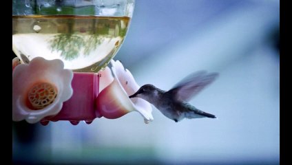 Geistliches für Donnerstag, den 01. Februar 2024