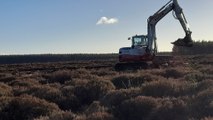 New peat restoration project in Northumberland completed