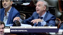 Pichetto: "La imagen que damos es bochornosa"