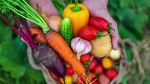 Kalendarz siewu popularnych warzyw