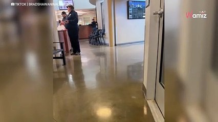 Un chien de refuge désespère de trouver une famille : son regard fait pleurer plus de 47K d’internautes