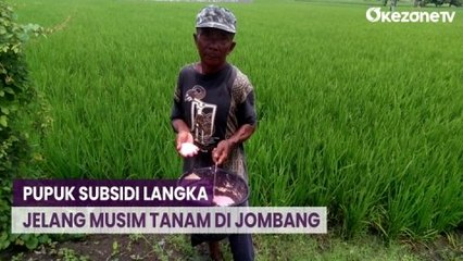 Jelang Musim Tanam, Petani Kesulitan Cari Pupuk Subsidi di Jombang