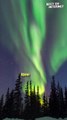 Night Sky Dances with Northern Lights! ❤️ || Best of Internet