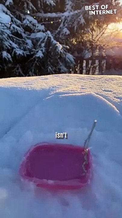 Bubble Freeze: Nature's Chilling Trick! ❄️✨ || Best of Internet