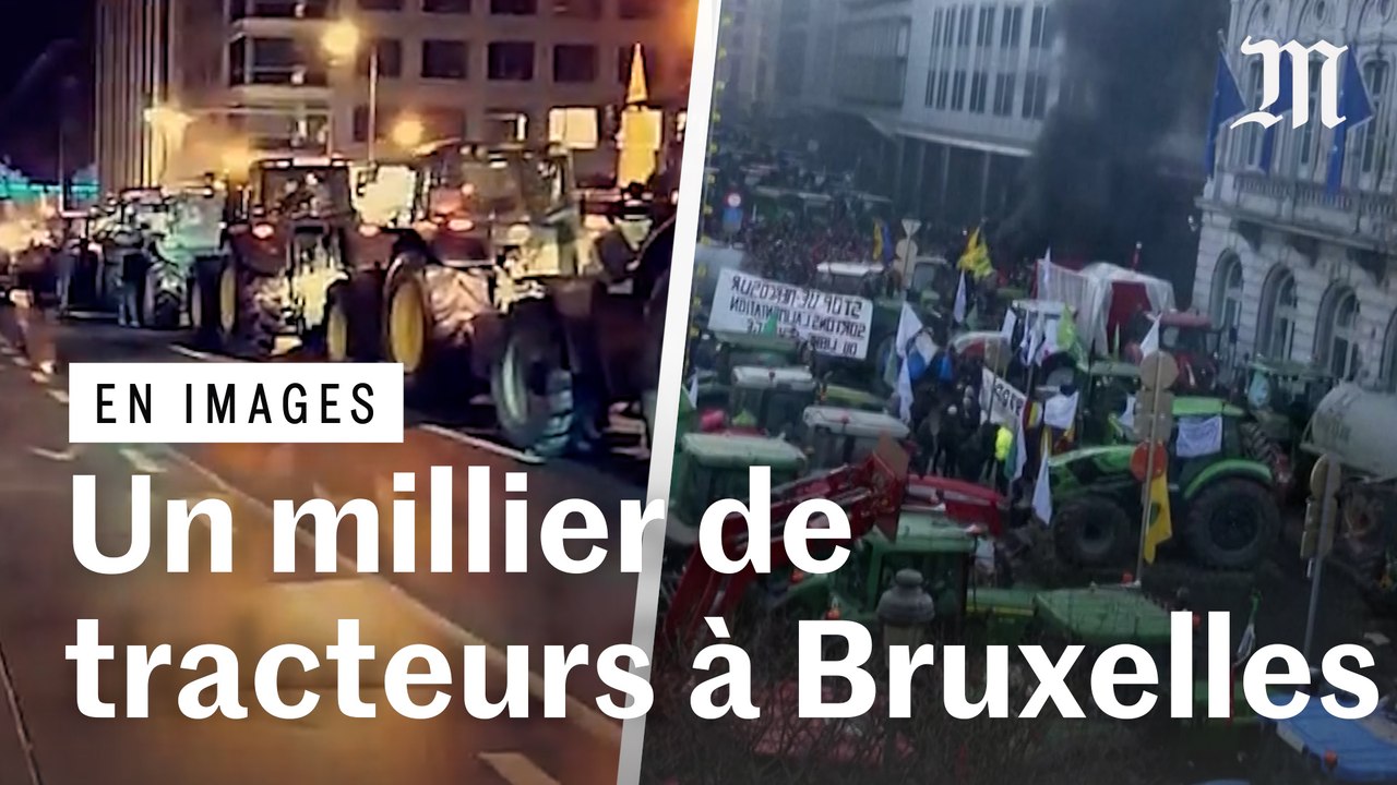 Les images de la manifestation des agriculteurs à Bruxelles devant le Parlement européen