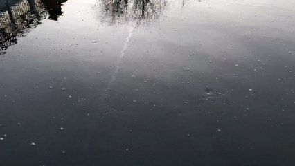 Woman films used toilet roll floating down River Severn in Shrewsbury