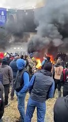 Vean el asedio de los agricultores al Parlamento Europeo