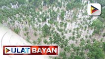 Bilang ng nasawi sa baha at landslides sa Mindanao, umabot na sa 10
