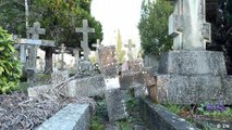 Francia: el cementerio ruso más grande está en ruinas