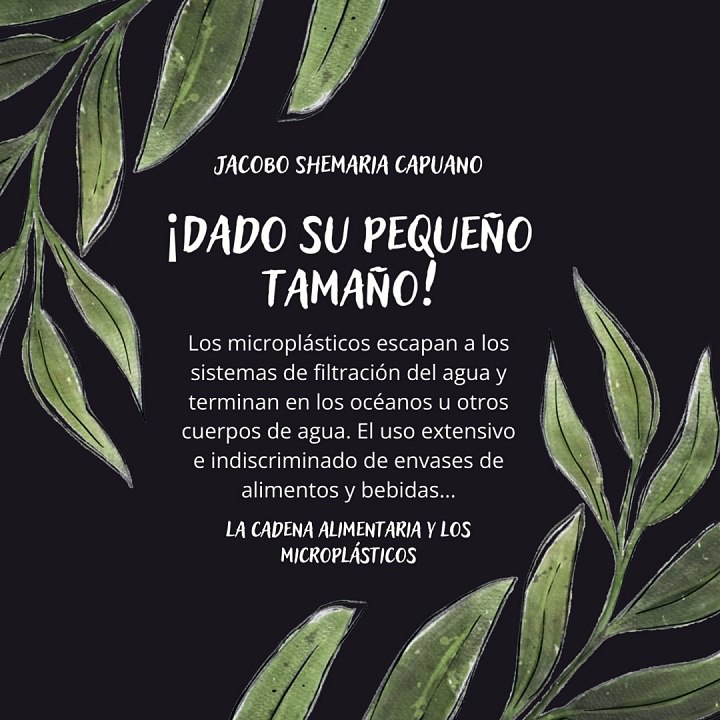 -Jacobo Shemaria Capuano- ¡La acumulación potencial de microplásticos en la cadena alimentaria! (Parte 1) (Creado por @JacoboShemariaCapuano)
