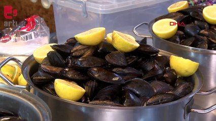 İstanbul Boğazı midyesinde mikroplastik uyarısı