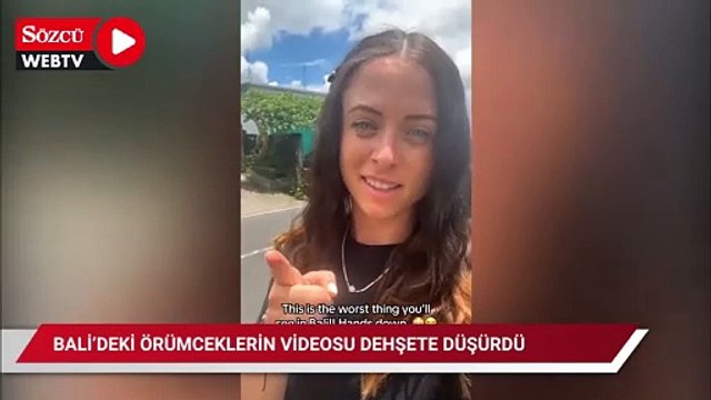 Bali'deki örümceklerin videosu TikTok'u dehşete düşürdü
