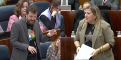 Una diputada del PP triunfa en la Asamblea con estacazos a pares contra Pedro Sánchez y Más Madrid