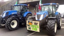 La protesta dei trattori da Melegnano: gli agricoltori bloccano la Binasca
