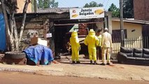 Ataque de abelhas no Bairro Morumbi mobiliza equipes do Corpo de Bombeiros