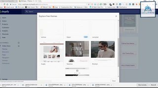 Shopify Course 16 Themes