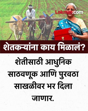 अंतरिम बजेट २०२४ मधून नेमकं काय मिळालं?