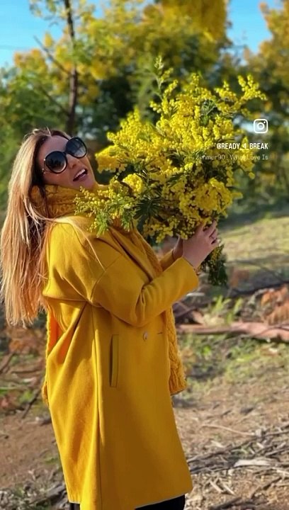 Road trip ensoleillé sur la route du Mimosa