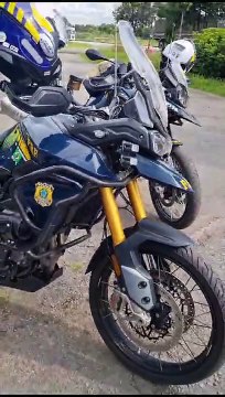 PRF apreende 4 kg de cocaína e 21 kg de crack que seriam levados de Altônia para Curitiba