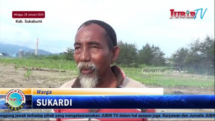 Warga Berburu Kerang Batik di Pesisir Pantai Loji Simpenan