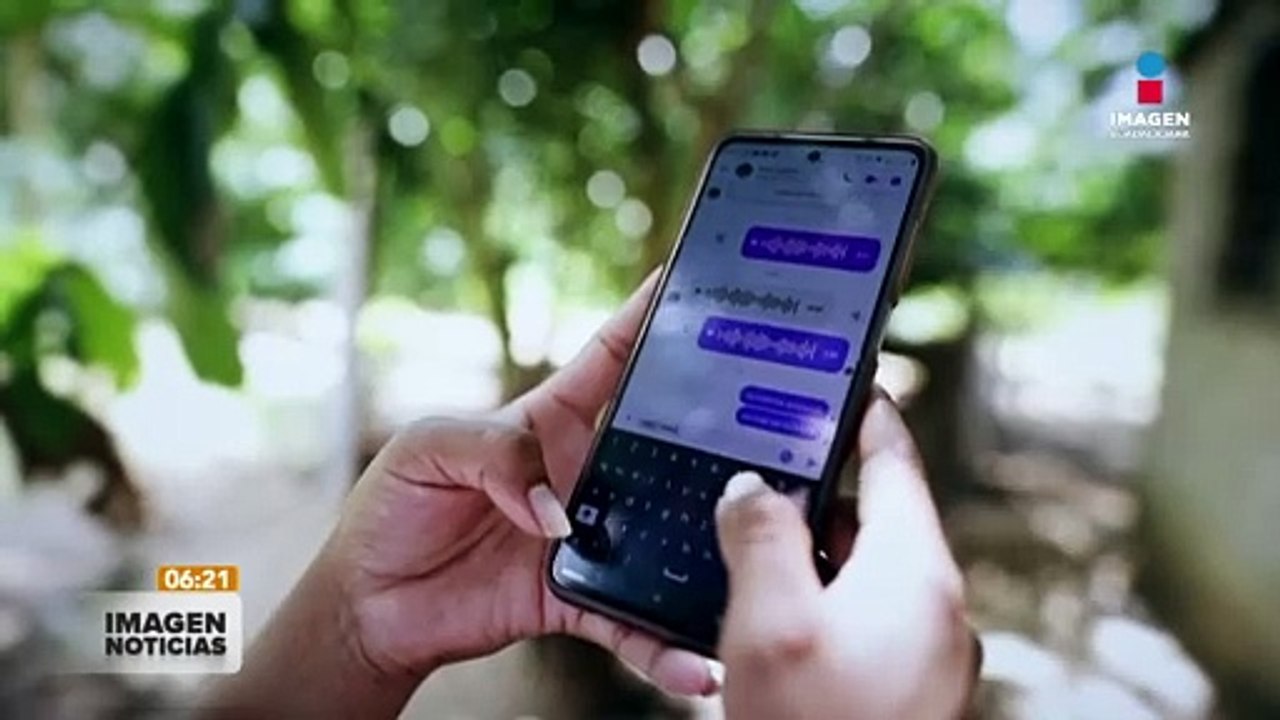 Aplicación permitirá preservar 40 lenguas indígenas en Brasil