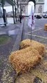 Des agriculteurs déversent de la paille sur les Champs-Elysées à Paris. (JA IDF)