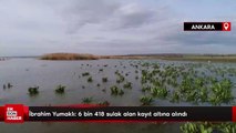 Bakan Yumaklı: 6 bin 418 sulak alan kayıt altına alındı