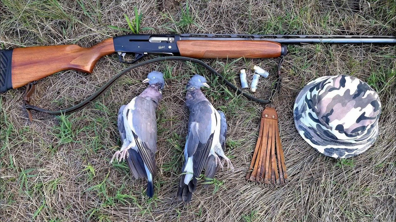 Hunting of Wild Pigeon Bulgaria (Part-2)