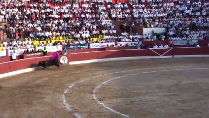 CAPSULA DEPORTIVA TOROS