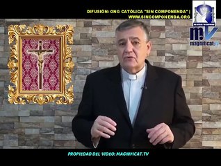 EL PADRE SANTIAGO MARTÍN HABLA DEL ÉXITO EN PERÚ SOBRE LA PROTECCIÓN DEL CONCEBIDO