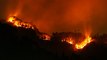 Incendios forestales afectan la biodiversidad y ecosistemas colombianos